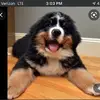 jackferrante79 - @jackferrante79 - TikTok