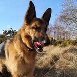 Jack Fielder - @fielder.j - Instagram