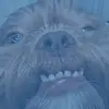 jack_fish13 - @jack_fish13 - TikTok