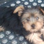 Jackie Fitzharris - Facebook
