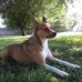 Jackie Flatt - Facebook
