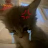 Jack_Flick - @lil_ynm - TikTok
