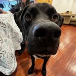 jack - @jackflicks1 - Instagram