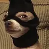Jack - @jacksflicks - TikTok