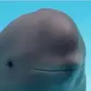 JackFlick - @jackk.flick - TikTok