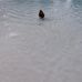 Jack Florence Pool - Facebook