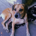 Ｊａｃｋ  🐾 - @jack__fontes - Instagram