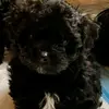 Jack Ford - @jack.ford21 - TikTok