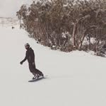 Jack Fortune - @jackfortune8 - Instagram