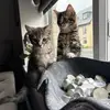 Jack Freeland - @jack.freeland06 - TikTok