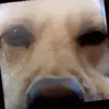 jack freitag - @jack.freitag - TikTok