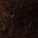 Jack Fried - @jackfried - Instagram