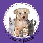 Jack & Friends - @jack_.friends - Instagram
