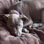 Jack Fugate - @jackfugate - Instagram