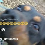 jack Scooby fugate - @baby_boy_love_jack - Instagram