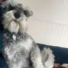 JackFullerton - @jackfullerton3 - TikTok