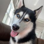 Jack - @jackgable - Instagram
