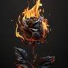 Jack Gala89 - @jackgala89 - TikTok