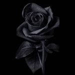 Jack Gardner - @jackgardner3079 - Instagram