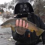 Jack Gardner - @jack.gardner.509 - Instagram