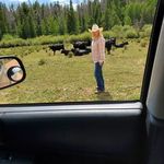 jack Garrison - @jackgarrison22 - Instagram