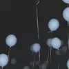 Jack gary - @jack.gary8 - TikTok