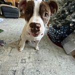 Jack Gavin - @jbear3.4 - Instagram