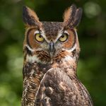 Jack geddes - @niteowl997 - Instagram