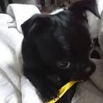 Jack Gee - @jackgee749 - Instagram