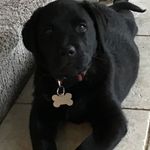 Jack Geer - @smackjack4 - Instagram