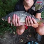 jack,genovese,alvi,brian - @i_fioi_dellapesca - Instagram