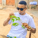 Geraldo Jack - @jack_geraldo - Instagram