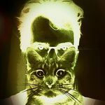 Jack Gerdes - @jack_gerdes - Instagram