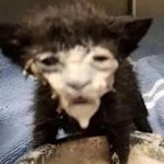 @jack_gerdess - Instagram