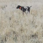 Jack Gerstein - @wsoutfitters - Instagram