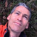 Jack Gescheidt - @jackofalltrees - Instagram