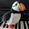 Gillian Jack - @gillian.jack8 - TikTok