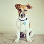 Jack - @jackgillinghamtheprince - Instagram
