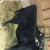 Jack Gillett - Facebook
