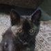 Jack Gilmer - Facebook