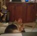 Jack Gilson - Facebook