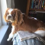 Jack Gilson - @jackgilson1970 - Instagram