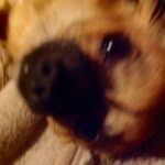 Jack - @jack.gilson - Instagram