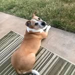 Jack Ginn - @ginn.jack - Instagram