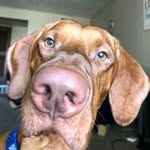 Jack&Ginny - @jackandginnyblog - Instagram
