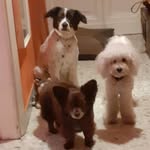 @jack_asia_ugo_gioia - Instagram
