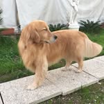 Marilena Luti - @maryjackgioia - Instagram