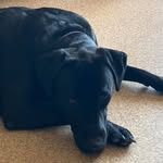 Jack Girard - @jack.girard.716 - Instagram