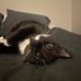Jack Gladish - Facebook