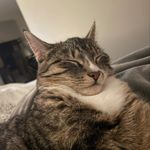 @jackgladish - Instagram